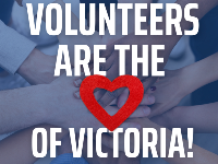 Volunteer Graphic 2025 Volunteer Graphic 2025